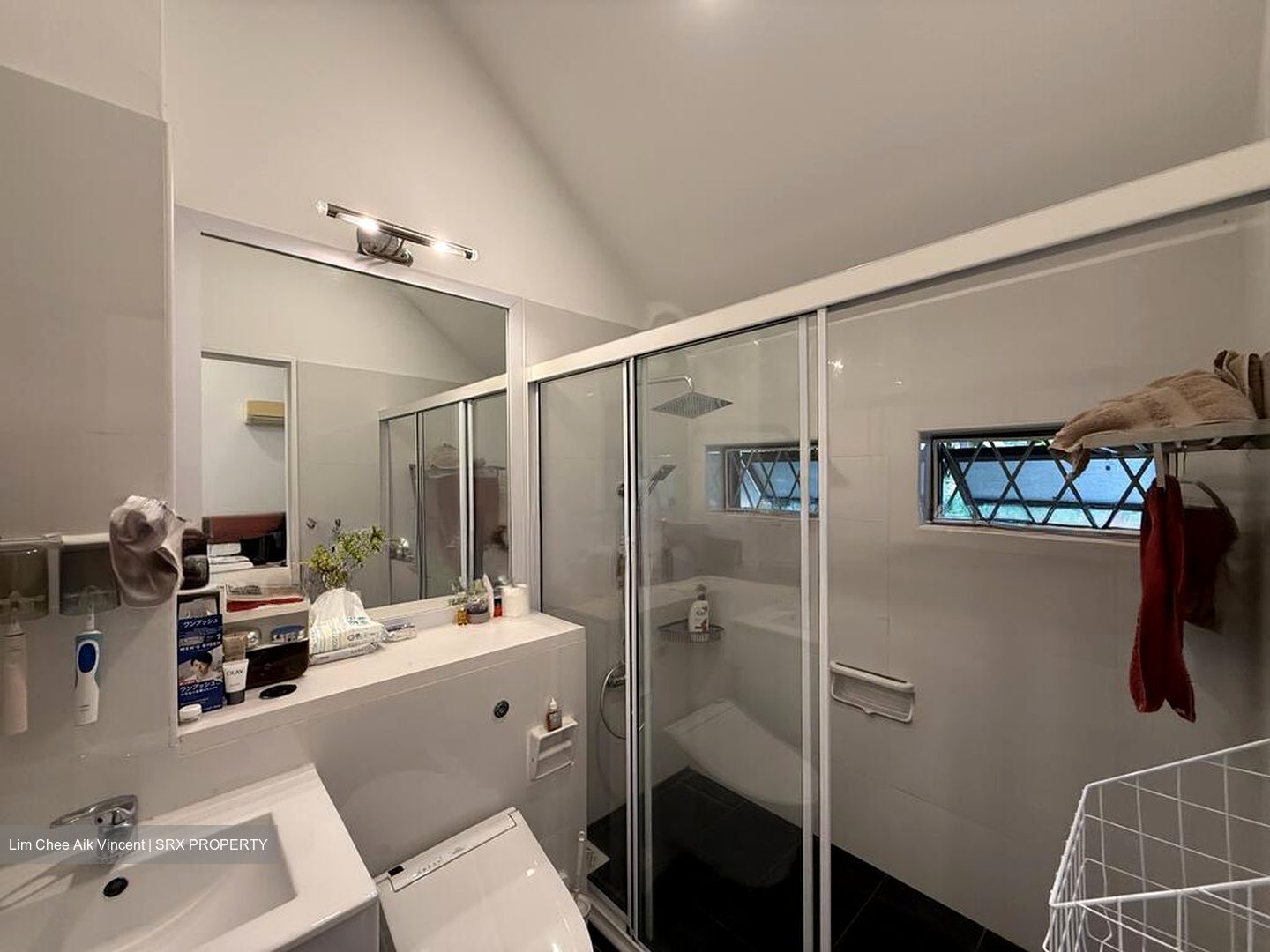 Leedon Park (D10), Detached #507063491
